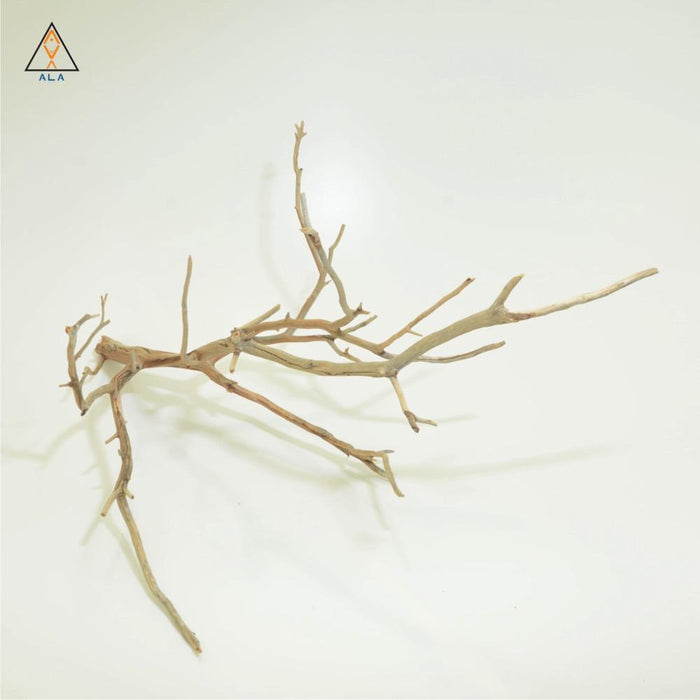 Aquarium Wood Manzanita Wood - ALA