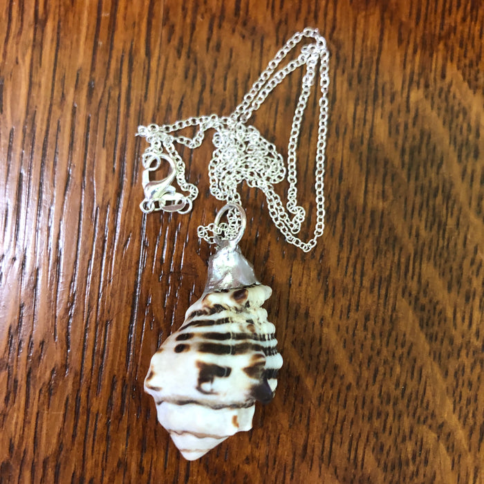 Murex Artisan Made Pendant Handcrafted Sea Shell Necklace 1 in x 1.5 in