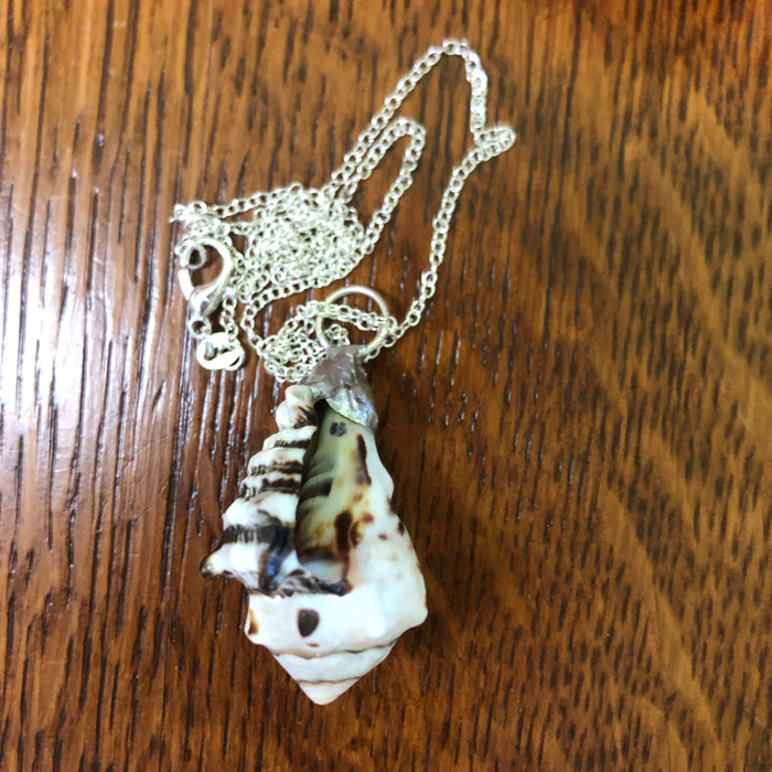 Murex Artisan Made Pendant Handcrafted Sea Shell Necklace 1 in x 1.5 in