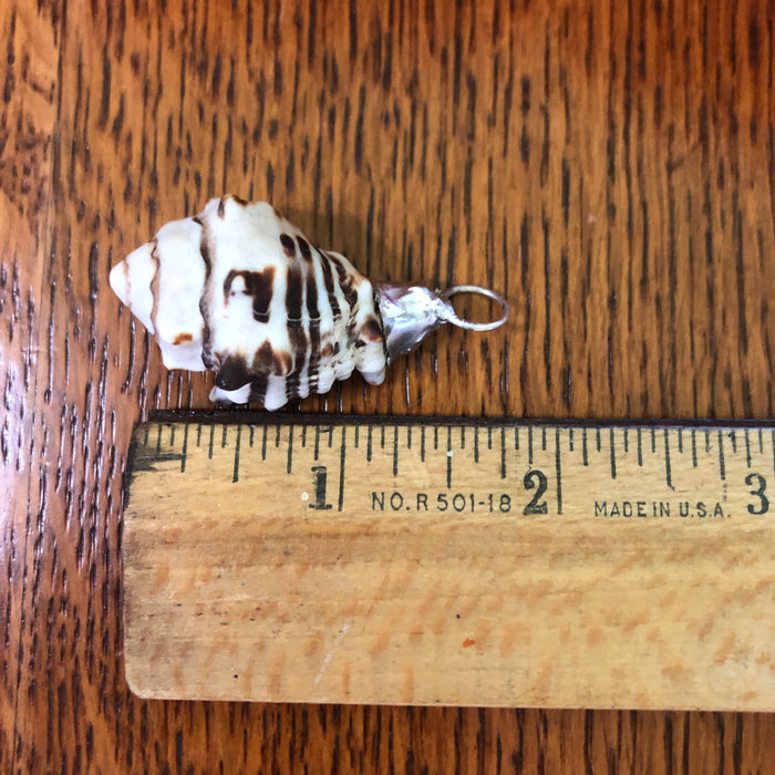 Murex Artisan Made Pendant Handcrafted Sea Shell Necklace 1 in x 1.5 in
