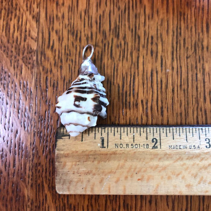 Murex Artisan Made Pendant Handcrafted Sea Shell Necklace 1 in x 1.5 in