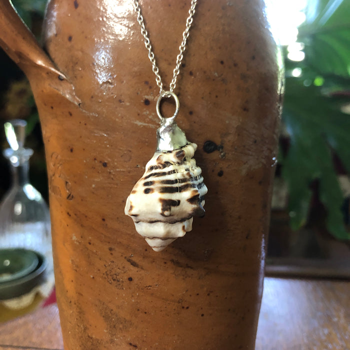 Murex Artisan Made Pendant Handcrafted Sea Shell Necklace 1 in x 1.5 in