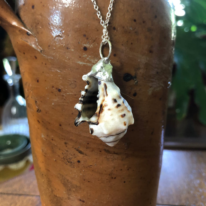 Murex Artisan Made Pendant Handcrafted Sea Shell Necklace 1 in x 1.5 in