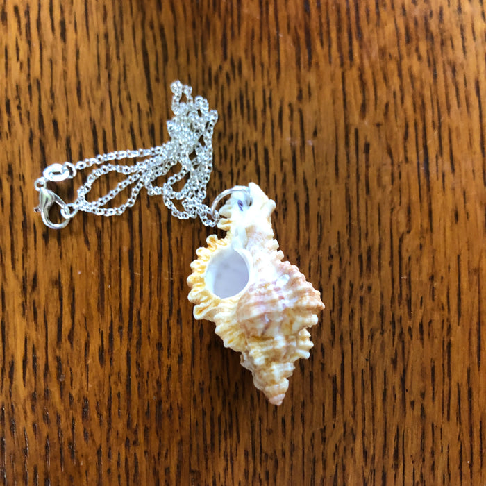 Murex Artisan Made Pendant Handcrafted Sea Shell Necklace 1 in x 2 in Mermaid Jewelry