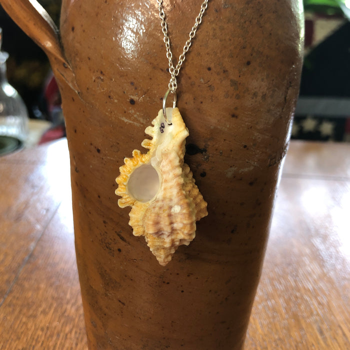 Murex Artisan Made Pendant Handcrafted Sea Shell Necklace 1 in x 2 in Mermaid Jewelry