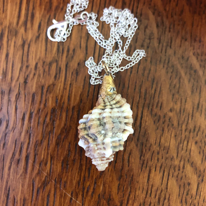Murex Artisan Made Pendent Handcrafted Sea Shell Necklace 7/8 in x 1.5 in