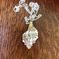 Murex Artisan Made Pendent Handcrafted Sea Shell Necklace 7/8 in x 1.5 in