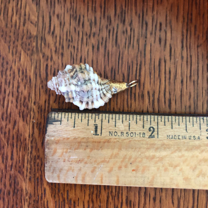 Murex Artisan Made Pendent Handcrafted Sea Shell Necklace 7/8 in x 1.5 in