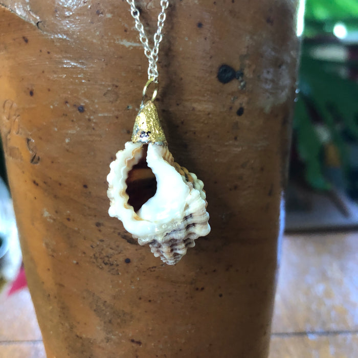 Murex Artisan Made Pendent Handcrafted Sea Shell Necklace 7/8 in x 1.5 in