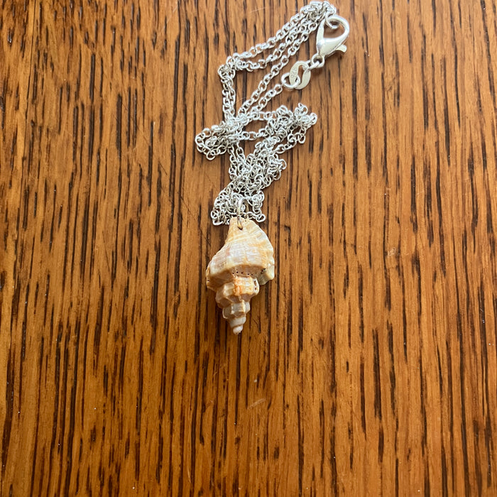 Murex Sell Artisan Made Pendant Handcrafted Sea Shell Necklace 1/2in x 7/8in Mermaid Jewelry