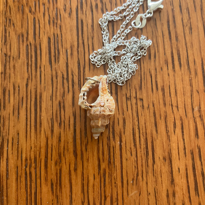 Murex Sell Artisan Made Pendant Handcrafted Sea Shell Necklace 1/2in x 7/8in Mermaid Jewelry