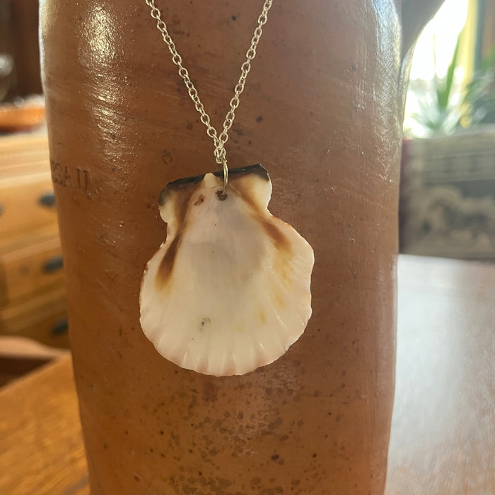 Pacific Pink Scallop Artisan Made Pendant Handcrafted Sea Shell Necklace 1 3/8in x 1.5in Mermaid Jewelry