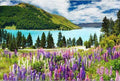 paint by numbers kit Lake Tekapo - Custom paint by number