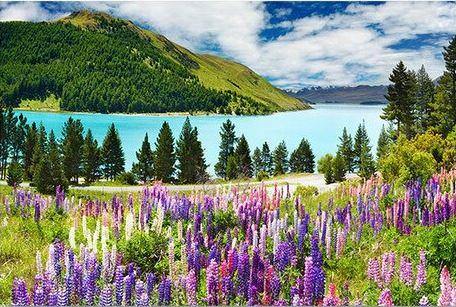 paint by numbers kit Lake Tekapo - Custom paint by number
