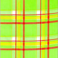 freckled sage plaid lime green and orange oilcloth swatch