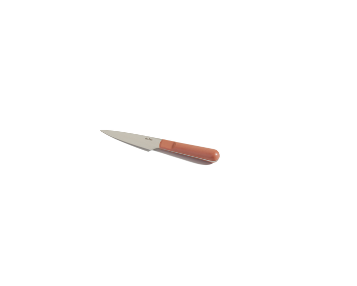The Precise Paring Knife, featuring a silver German steel blade and a brown handle, is set against a plain white background.
