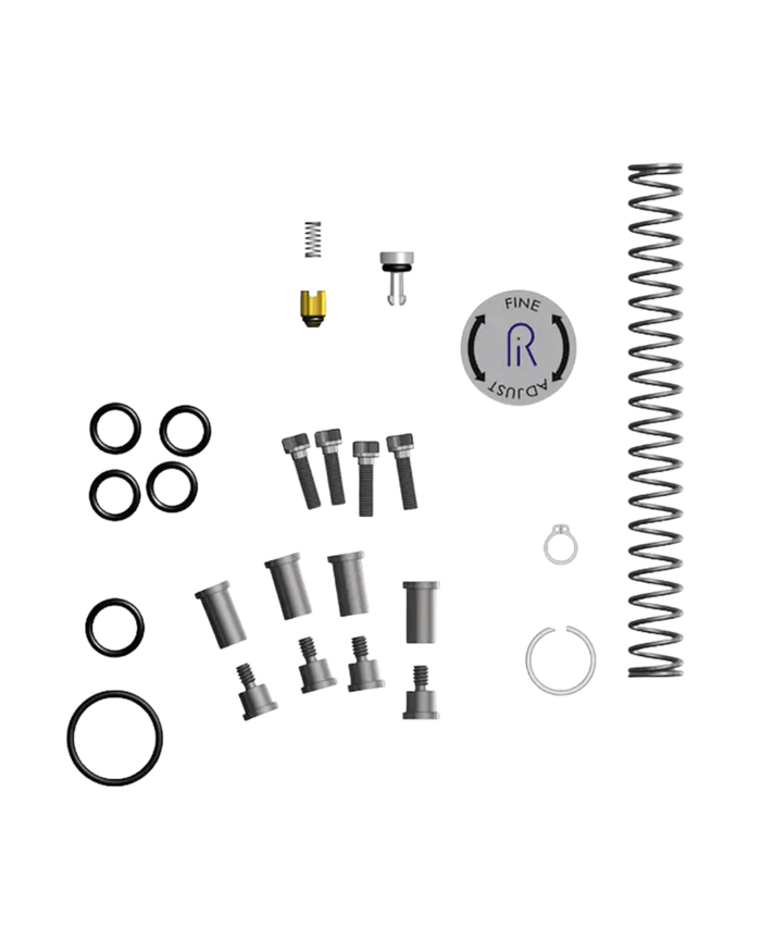 RALSTON DCAP-REPK repair kit for pneumatic pump