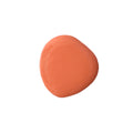 Salmon Farmhouse Finishes Safe Paint - Natural Milk Paint for Walls