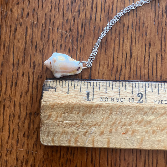 Sea Sell Artisan Made Pendant Handcrafted Sea Shell Necklace 1/2 in x 3/4 in Mermaid Jewelry