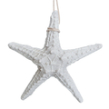 Starfish Rustic 12cm White