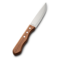 Steak Knife