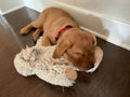 Tall Tails Plush Yeti Toy - 14"