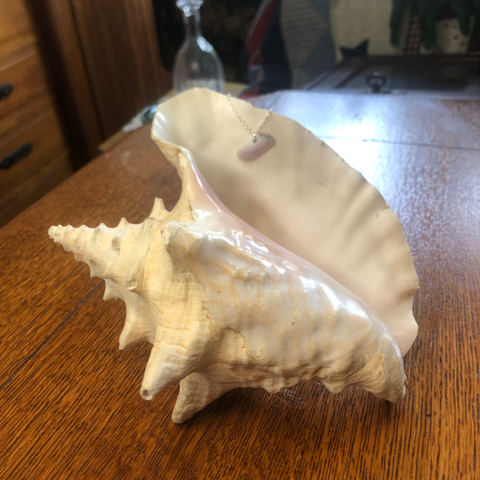 Tellin Artisan Made Pendant Handcrafted Sea Shell Necklace 1 in x 1/2 in Mermaid Jewelry