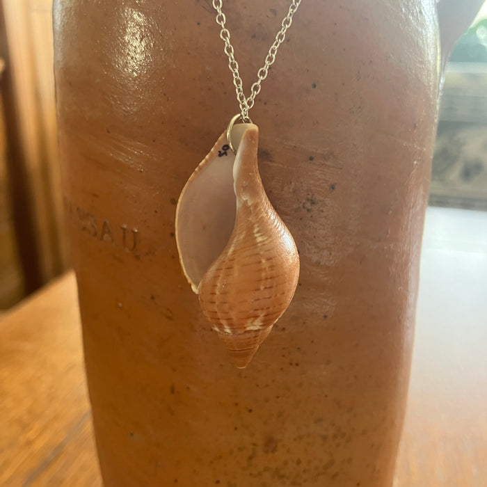 Tulip Shell Pendant Necklace | Handmade Artisan Jewelry