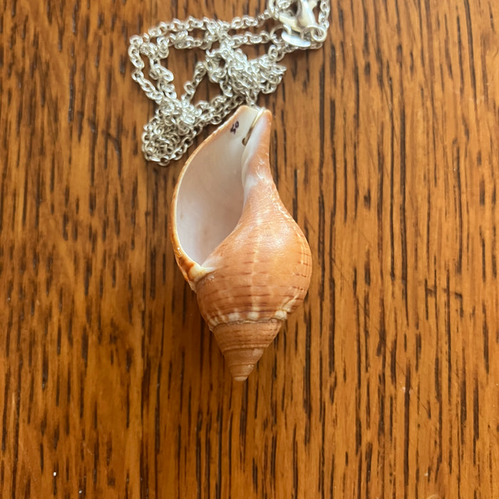 Tulip Shell Pendant Necklace | Handmade Artisan Jewelry