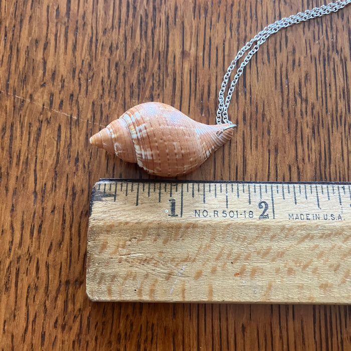Tulip Shell Pendant Necklace | Handmade Artisan Jewelry