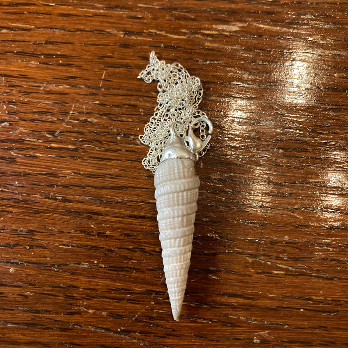 Turritellidae Artisan Made Pendant Handcrafted Sea Shell Necklace 3/8 in x 1.75 in