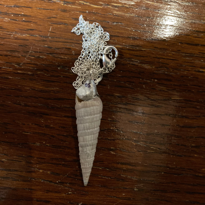 Turritellidae Artisan Made Pendant Handcrafted Sea Shell Necklace 3/8 in x 1.75 in